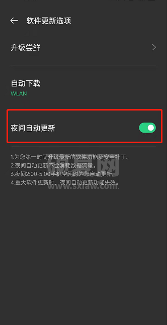 oppo手机怎么设置夜间更新?oppo手机设置夜间更新的方法截图