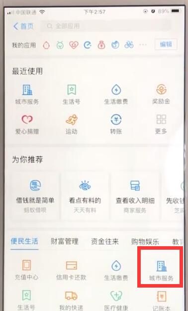 支付宝查询车辆违章信息的操作教程截图