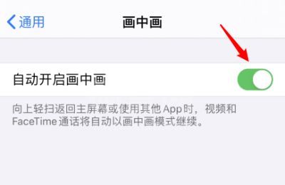 苹果手机怎样开启画中画?苹果手机画中画开启方法分享截图