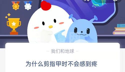 为什么剪指甲时不会感到疼?支付宝蚂蚁庄园8月30日答案