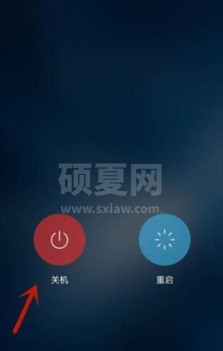 vivos9怎么强制关机 vivos9强制关机的方法截图