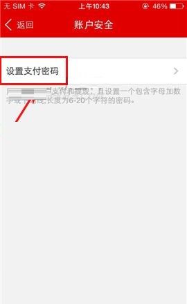 国美在线APP设置支付密码的操作流程截图