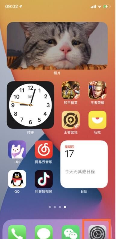 ios14镜像怎么关闭 ios14镜像关闭教程截图