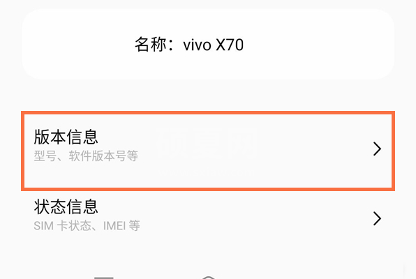 vivoX70怎么开启开发者模式?vivoX70开启开发者模式教程截图