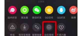 抖音动态壁纸设置的具体方法截图