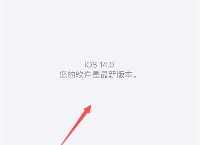 苹果怎么更新ios14?苹果更新ios14的简单方法截图