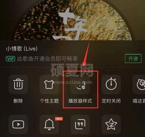 QQ音乐怎么设置歌手写真模式播放器？QQ音乐设置歌手写真模式播放器详细教程截图