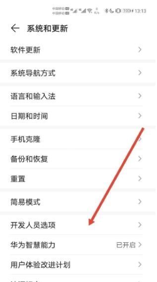 华为nova8pro开发者选项在哪里 华为nova8pro进入开发者模式方法截图