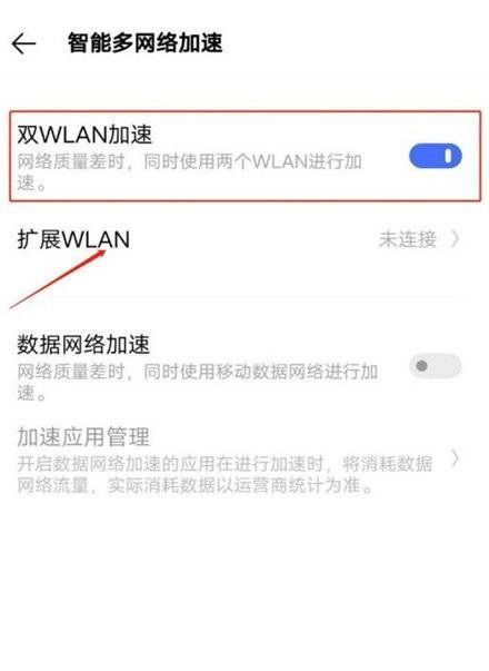 真我GT2Pro支不支持双WiFi?真我GT2Pro支不支持双WiFi介绍截图