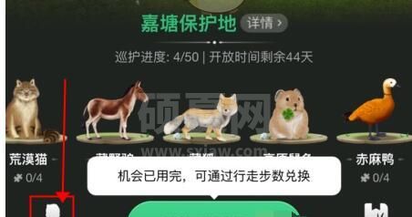 蚂蚁森林巡护勋章在哪里?蚂蚁森林查看巡护勋章的方法截图