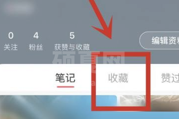 小红书视频怎么分类?小红书视频分类方法