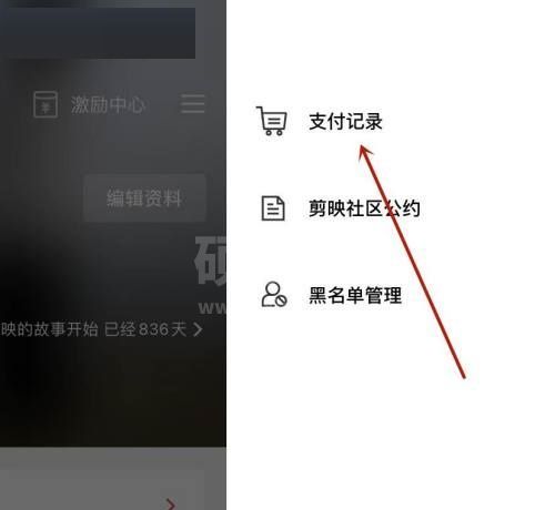 剪映支付记录怎么查看?剪映支付记录查看教程截图