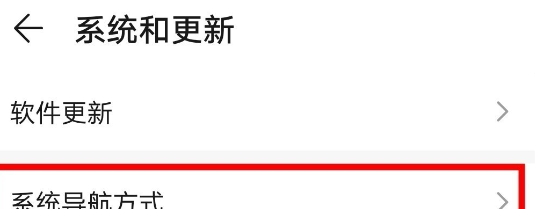 荣耀30s将虚拟键隐藏的具体方法截图