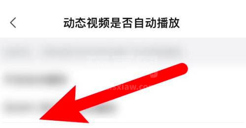 哔哩哔哩怎么关闭动态视频自动播放?哔哩哔哩关闭动态视频自动播放的方法截图