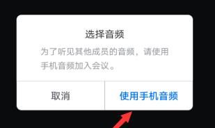 腾讯会议进入会议没有声音的解决方法截图