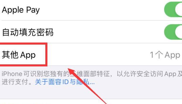 苹果微信支付怎么设置面部识别 苹果微信支付设置面部识别的简单步骤截图