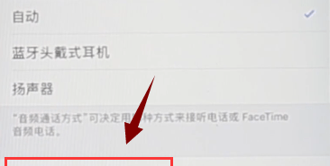 iPhone中取消自动接听的具体介绍截图