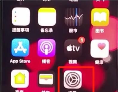 iphone11使用放大器的具体方法截图