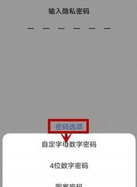 vivo NEX 3s加密应用具体方法截图