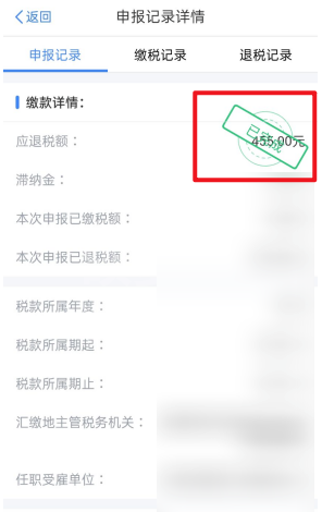 个人所得税怎么看申报记录?个人所得税查看申报记录教程截图