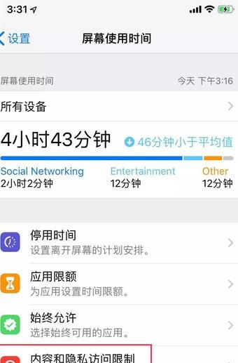 苹果6s访问限制设置方法步骤截图