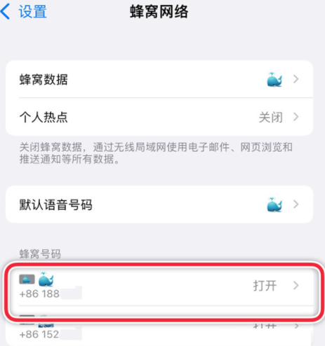 iPhone13promax如何设置主卡副卡?iPhone13promax主卡副卡设置步骤介绍