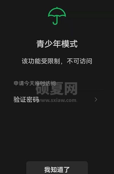 微信青少年模式监护人有什么用？微信青少年模式监护人作用详解截图