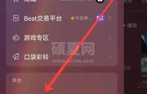 网易云音乐怎么开启流量播放?网易云音乐开启流量播放方法截图