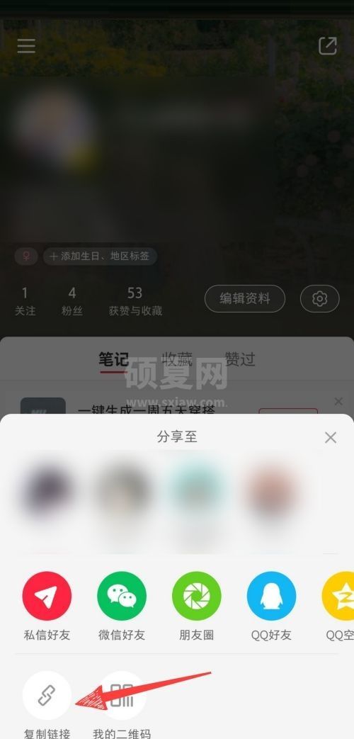 小红书个人主页链接怎么查看?小红书个人主页链接查看方法截图