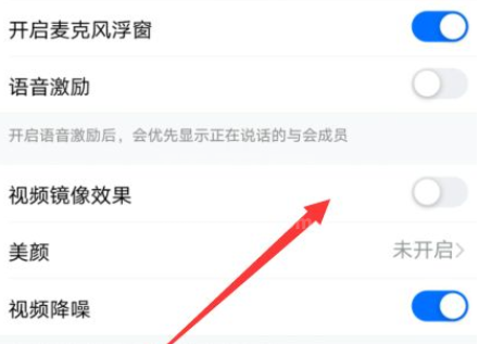 《钉钉》怎么设置视频镜像？《钉钉》设置视频镜像教程截图