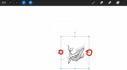 Procreate怎样调整局部大小?Procreate调整局部大小教程技巧截图