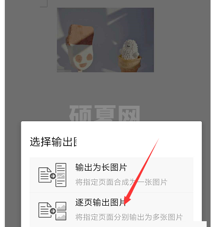 wps怎么导出图片格式?wps导出图片格式方法截图