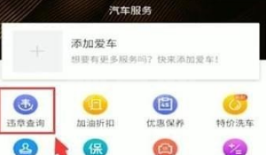 懂车帝违章在哪里查？懂车帝查询违章操作方法截图