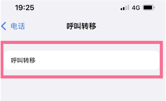iPhone13呼叫转移怎样设置?iPhone13添加呼叫转移号码流程介绍截图