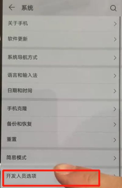 华为p30pro中开启开发人员选项的操作教程截图