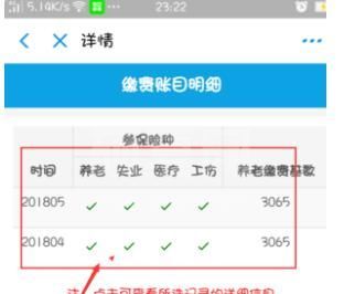 支付宝怎么查询养老保险缴费记录?支付宝查询养老保险缴费记录的方法截图