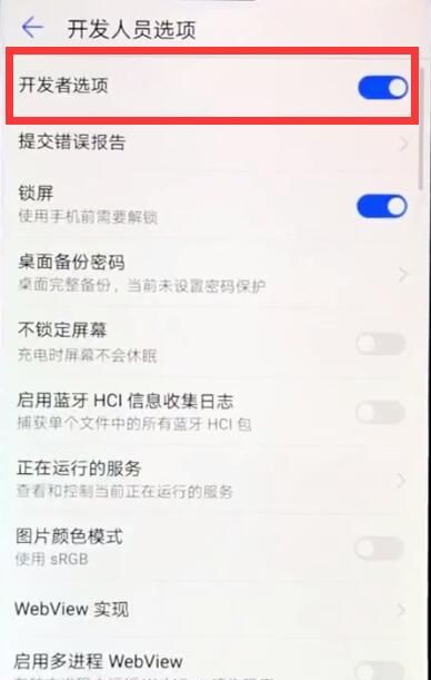 华为nova3e中打开开发者选项的具体步骤截图