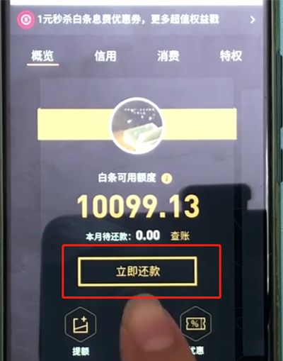 京东白条进行还款的操作教程截图