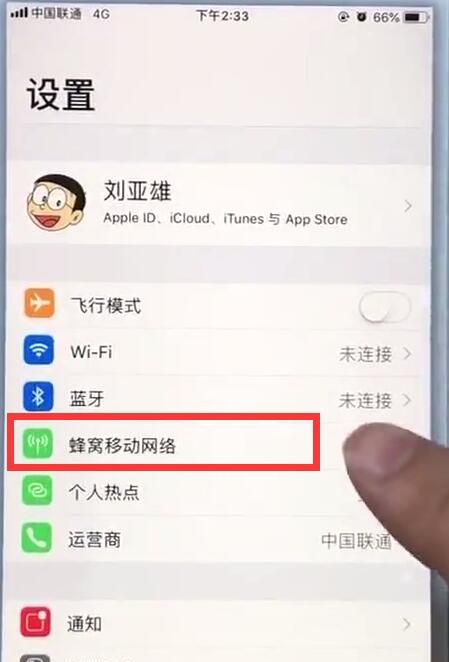 在苹果7plus中查看移动流量的详细讲解截图