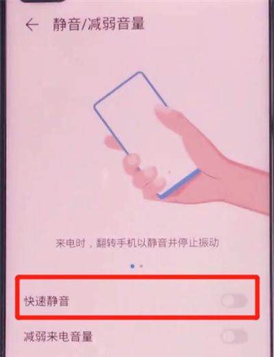 荣耀v30pro中设置翻转静音的详细方法截图
