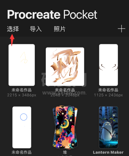 procreate pocket怎么预览作品？procreate pocket预览图片教程截图