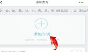 懂车帝违章在哪里查？懂车帝查询违章操作方法截图