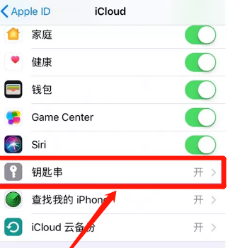 iPhone11怎么设置iCloud钥匙串 iPhone11设置iCloud钥匙串方法截图