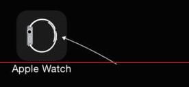 Apple Watch 中显示24小时制的详细步骤截图