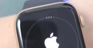 applewatch S7怎么连接手机?applewatchS7进行蓝牙配对方法截图