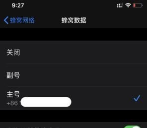 iPhone 11设置双卡双待功能的详细讲解截图