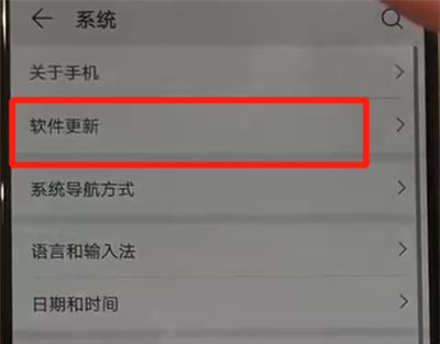 华为p30pro中关闭系统自动更新的操作教程截图