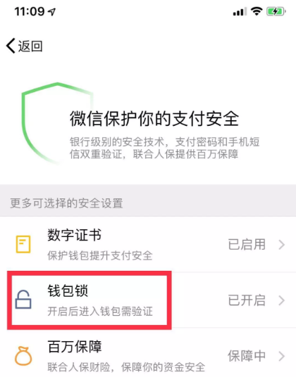 微信钱包提高安全性的操作技巧截图