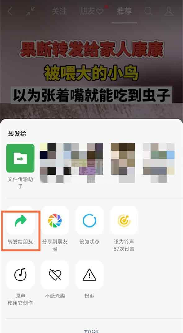 微信视频号如何转发给朋友？微信视频号转发给朋友操作步骤截图