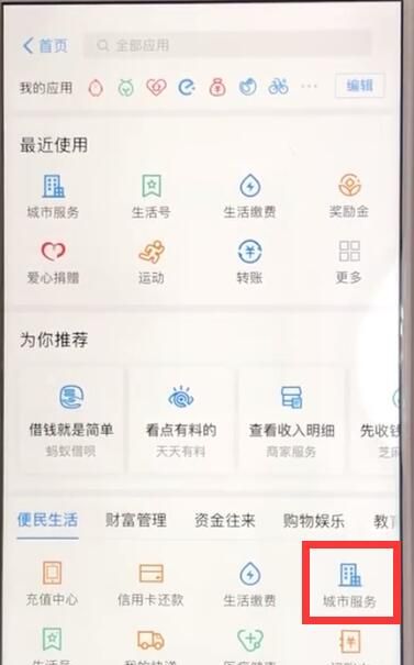 支付宝查询社保情况的操作教程截图